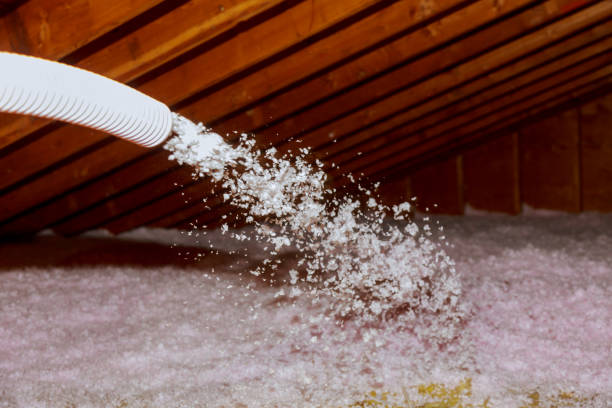 Best Blown-in Insulation in Chesapeake, VA