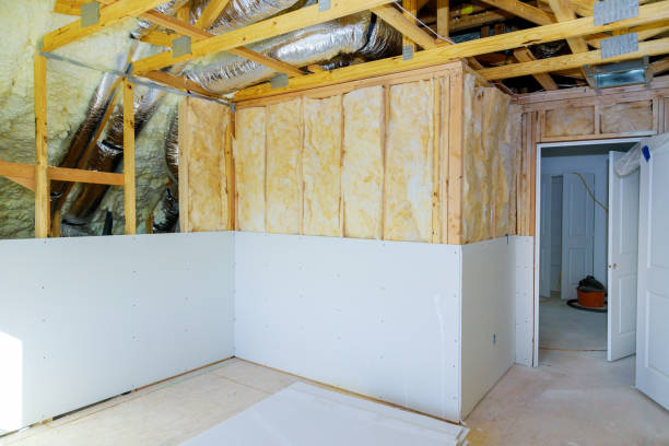 Best Eco-Friendly Insulation in Chesapeake, VA