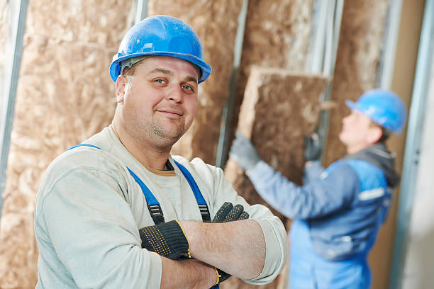 Best Specialized Insulation Services in Chesapeake, VA